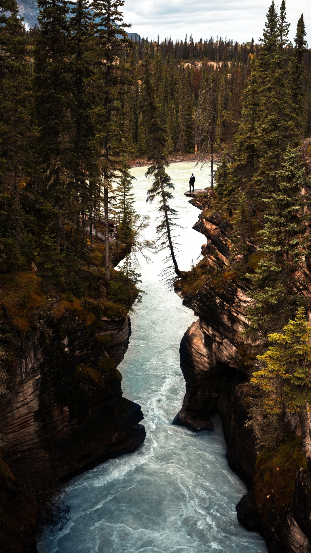 Athabasca Falls, Body of Water, Nature, Water, Water Resources. Wallpaper in 1080x1920 Resolution