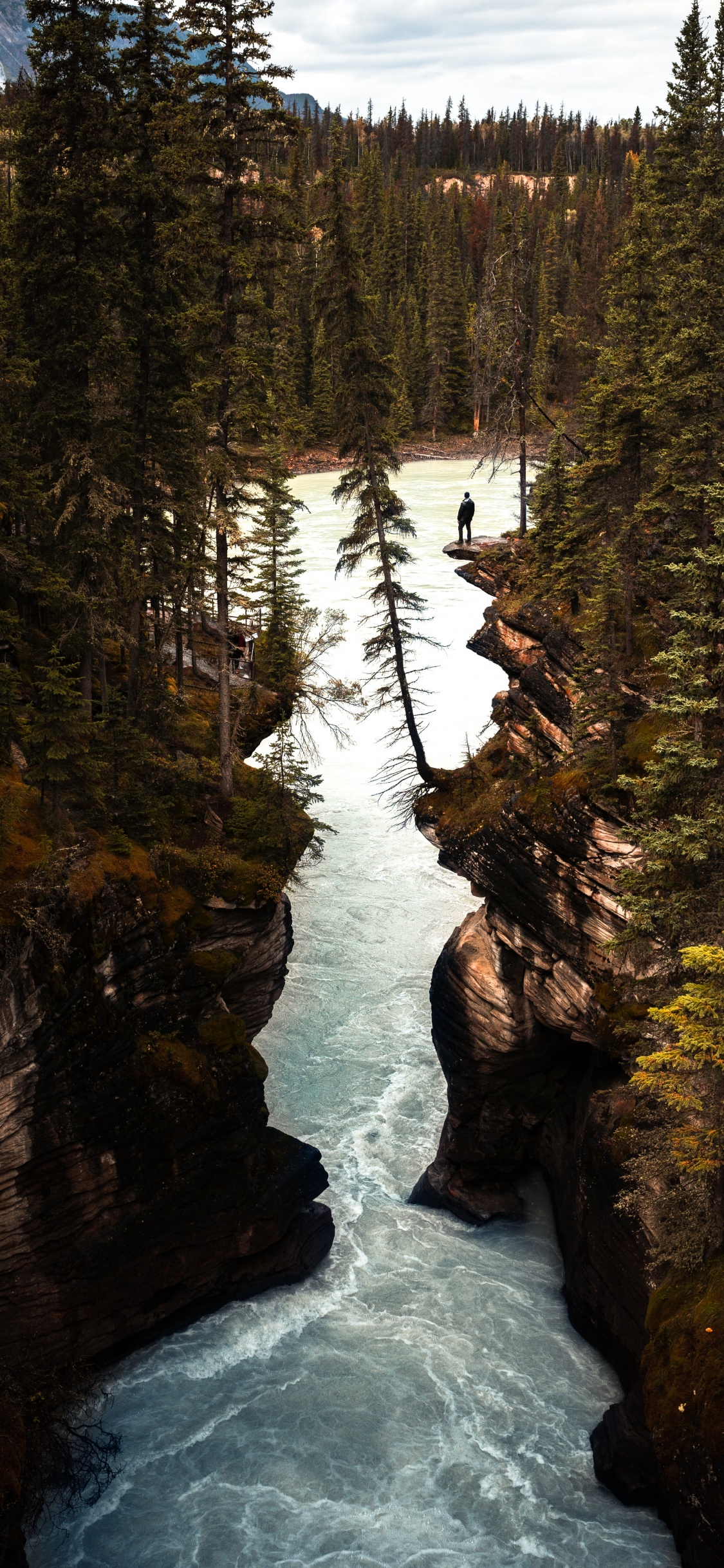 Athabasca Falls, Body of Water, Nature, Water, Water Resources. Wallpaper in 1125x2436 Resolution