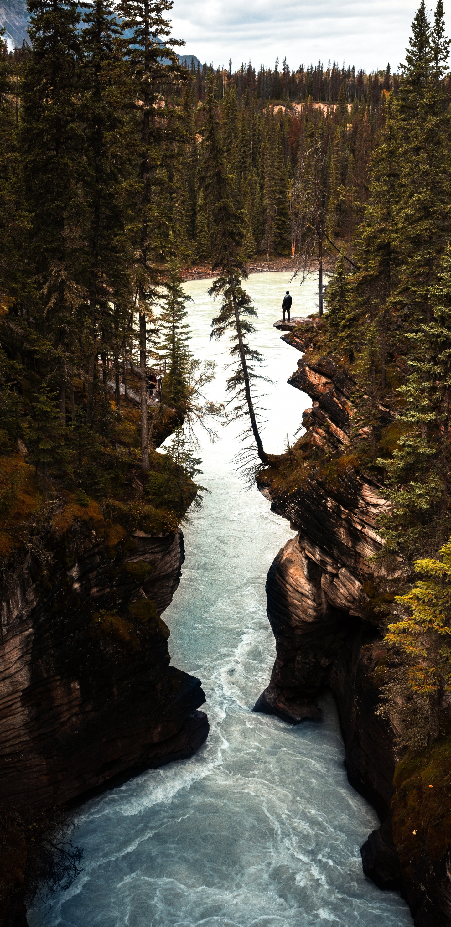 Athabasca Falls, Body of Water, Nature, Water, Water Resources. Wallpaper in 1440x2960 Resolution