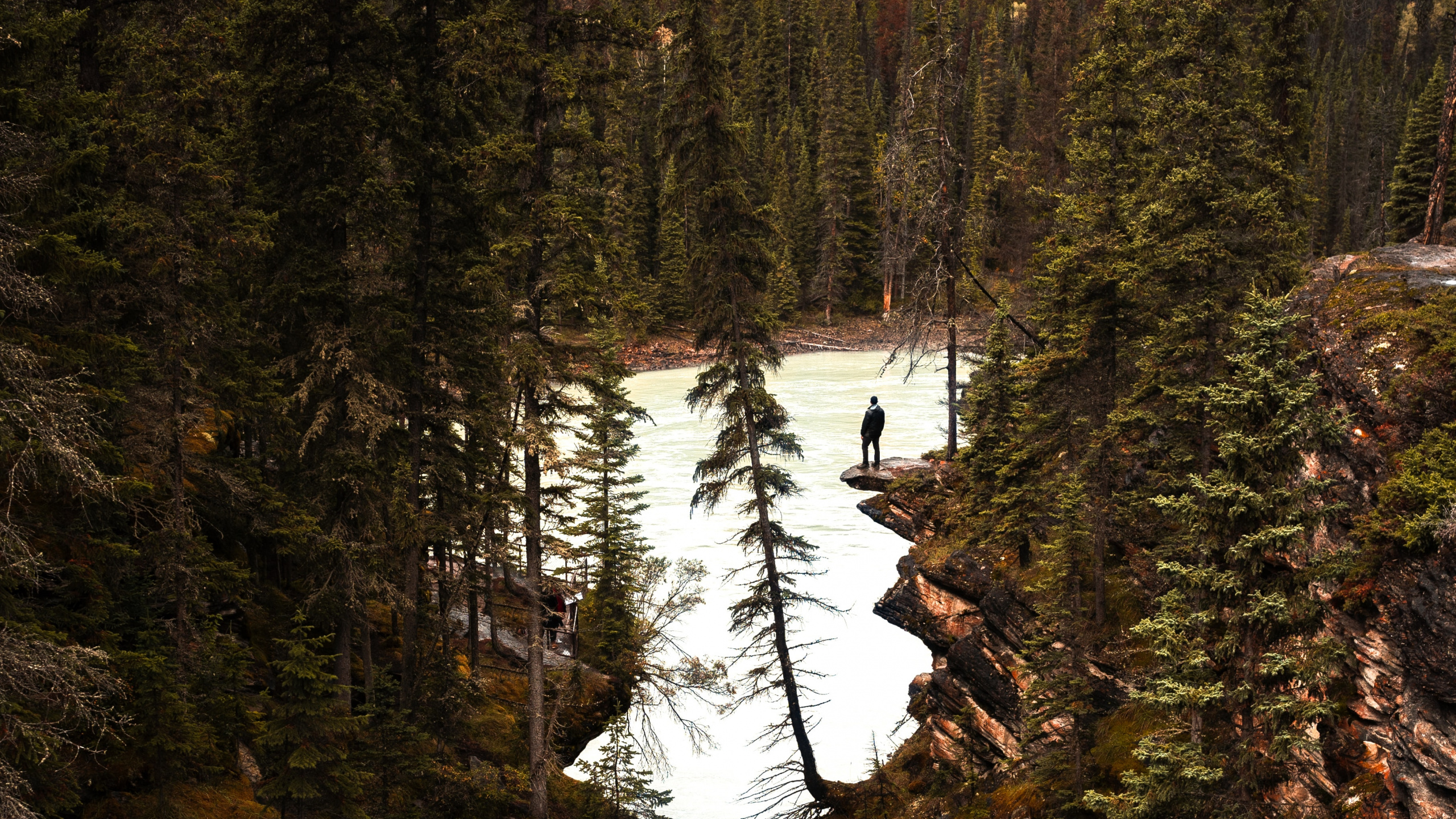 Athabasca Falls, Body of Water, Nature, Water, Water Resources. Wallpaper in 2560x1440 Resolution