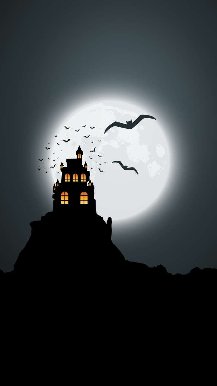 Atmosphere, Bird, Moon, Crescent, Dusk. Wallpaper in 720x1280 Resolution