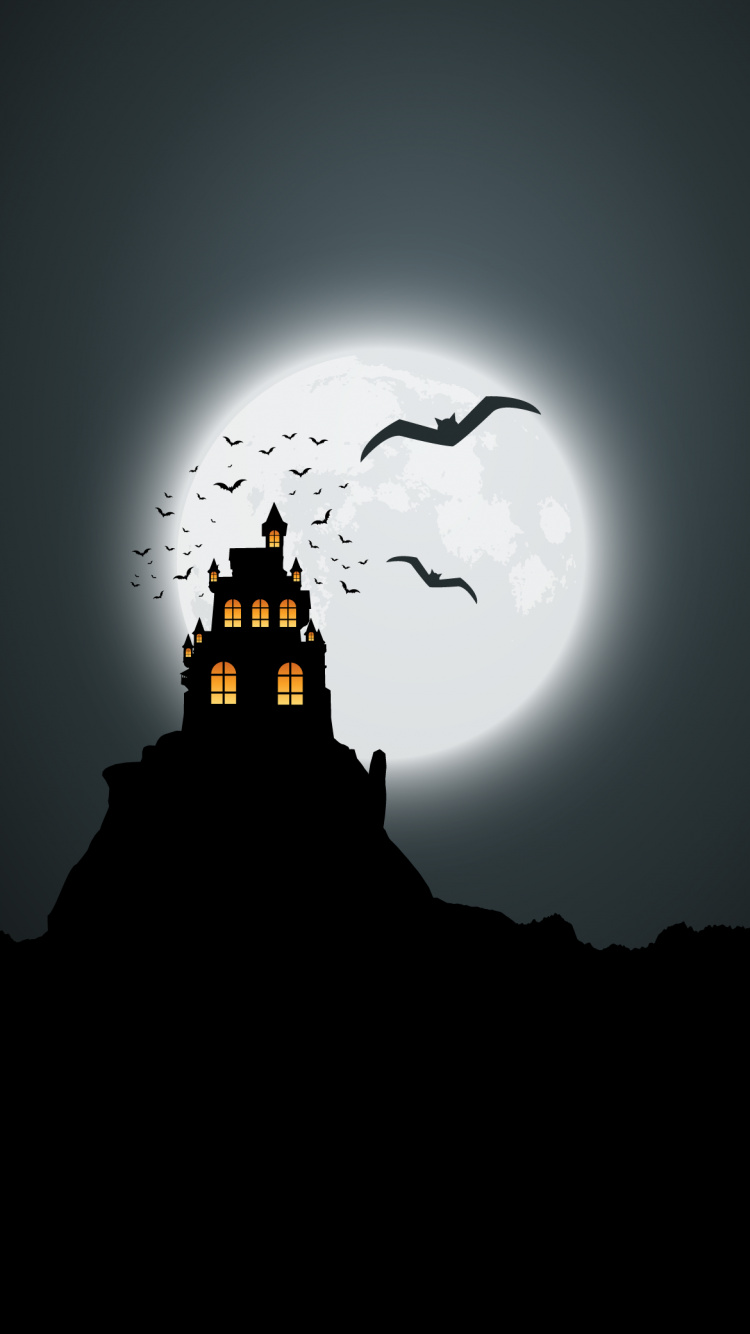 Atmosphère, Oiseau, Objet Astronomique, Minuit, Obscurité. Wallpaper in 750x1334 Resolution