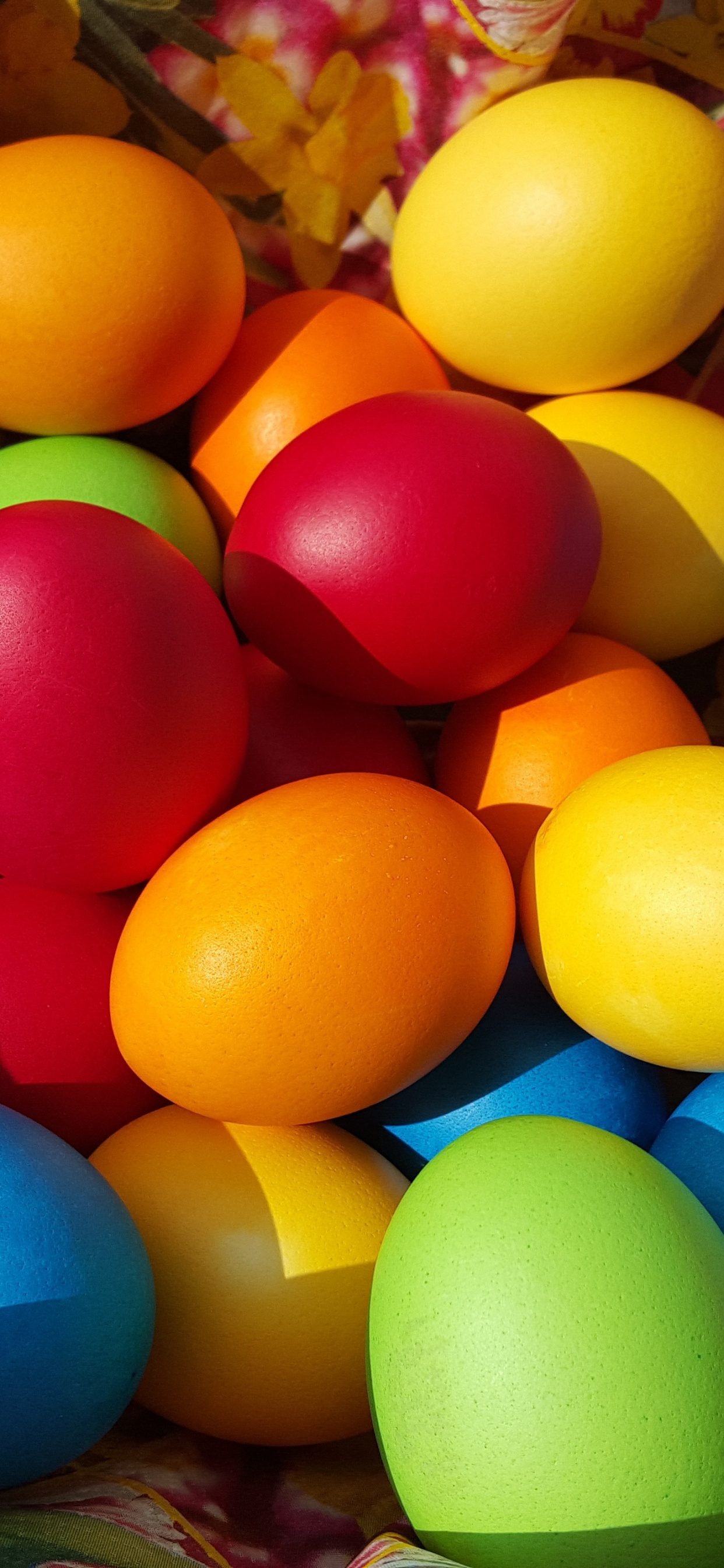 Easter Bunny, Easter Egg, Easter, Egg, Colorfulness. Wallpaper in 1242x2688 Resolution