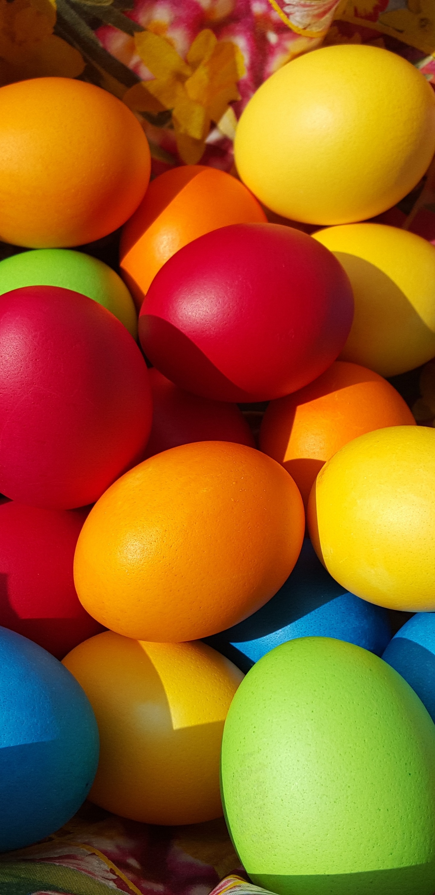Easter Bunny, Easter Egg, Easter, Egg, Colorfulness. Wallpaper in 1440x2960 Resolution