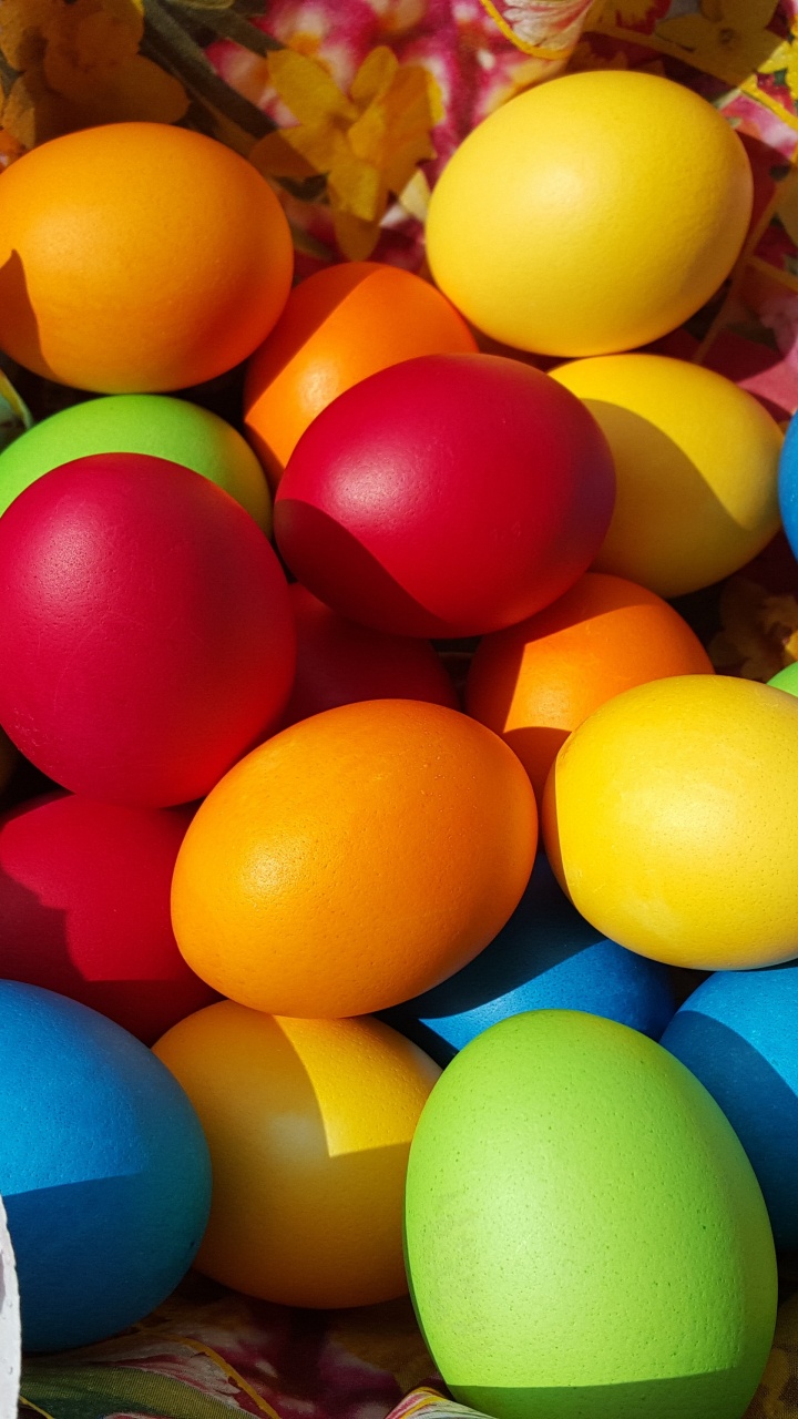 Easter Bunny, Easter Egg, Easter, Egg, Colorfulness. Wallpaper in 720x1280 Resolution