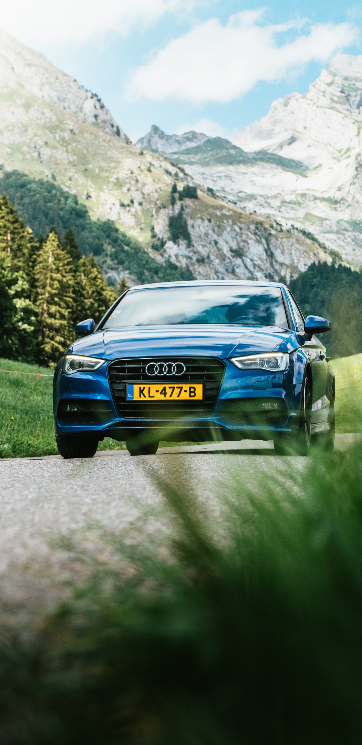 Blaues Auto Auf Der Straße in Der Nähe Von Grünen Rasenflächen Und Bäumen Tagsüber. Wallpaper in 1440x2960 Resolution