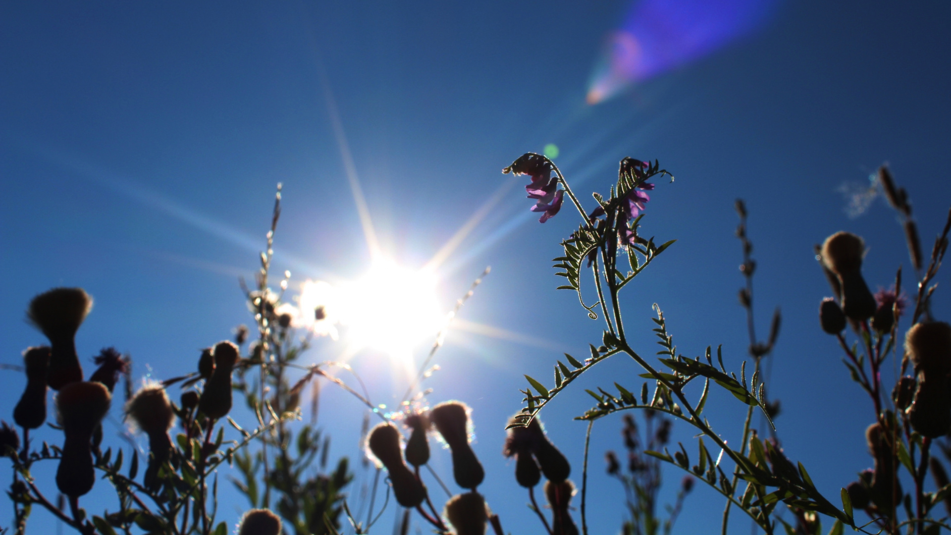 天气, 阳光, 性质, 新闻, 报纸 壁纸 1920x1080 允许