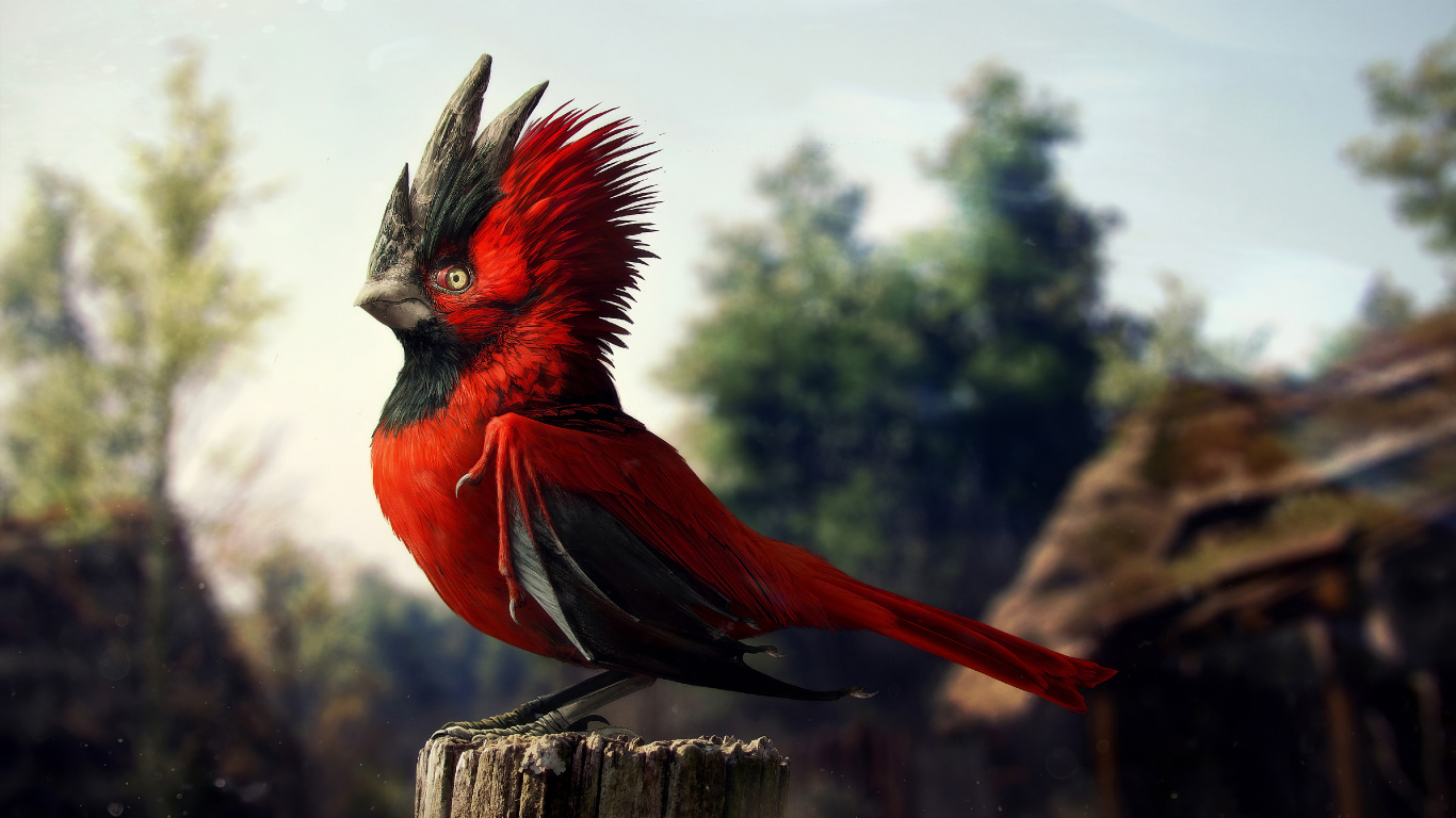 The Witcher 3 Wild Hunt, Gwent The Witcher Card Game, Cyberpunk 2077, The Witcher, cd Projekt. Wallpaper in 1366x768 Resolution