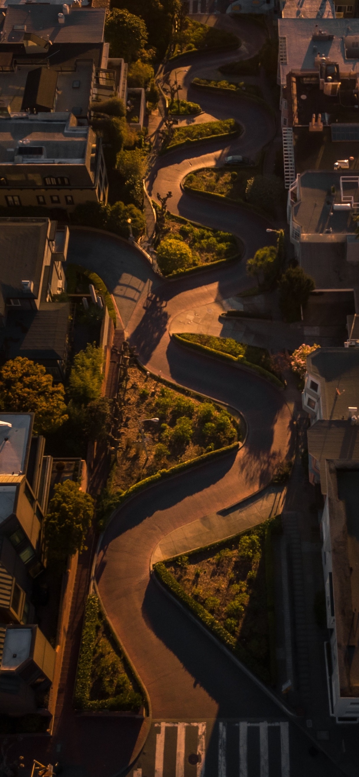 Odawara-Schlosspark, Golden Gate Park, Yosemite National Park, Gebäude, Städtebau. Wallpaper in 1242x2688 Resolution