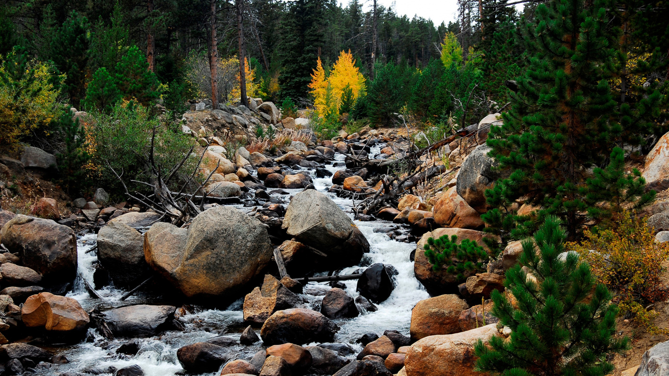 Felsiger Fluss Mit Felsen Und Bäumen. Wallpaper in 1366x768 Resolution