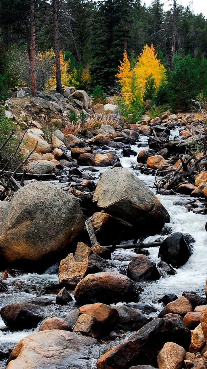 Felsiger Fluss Mit Felsen Und Bäumen. Wallpaper in 720x1280 Resolution
