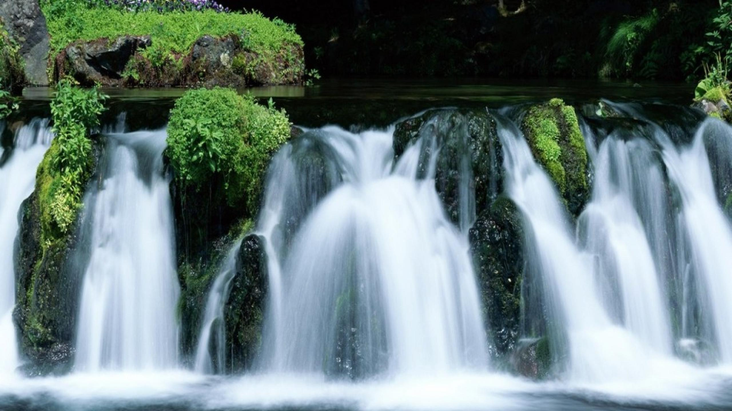 Wasser Fällt Mitten in Grüne Bäume. Wallpaper in 2560x1440 Resolution