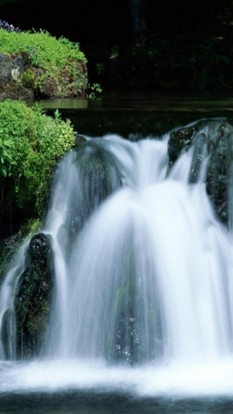 el Agua Cae en Medio de Árboles Verdes. Wallpaper in 750x1334 Resolution