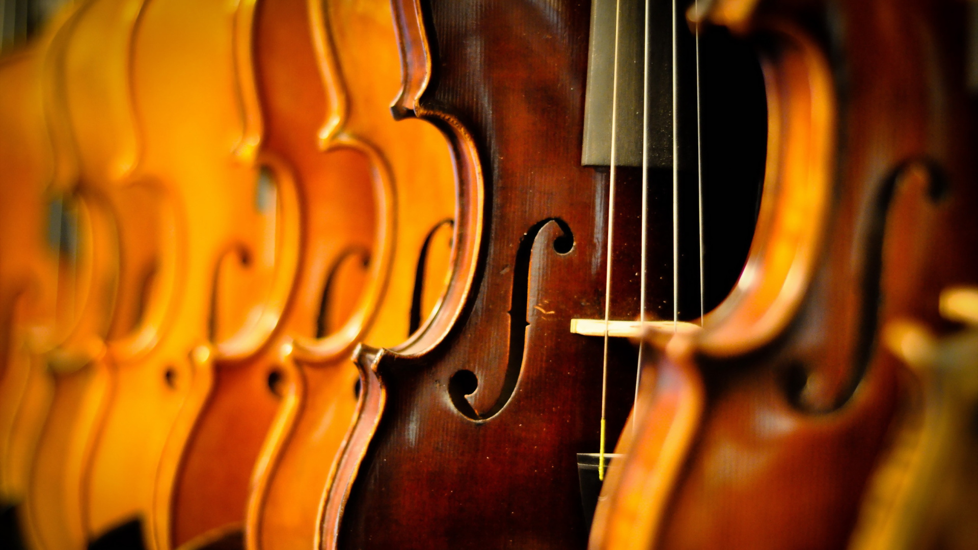Bajo Violín, Contrabajo, Violone, Viola, Instrumento de Cuerda. Wallpaper in 1920x1080 Resolution