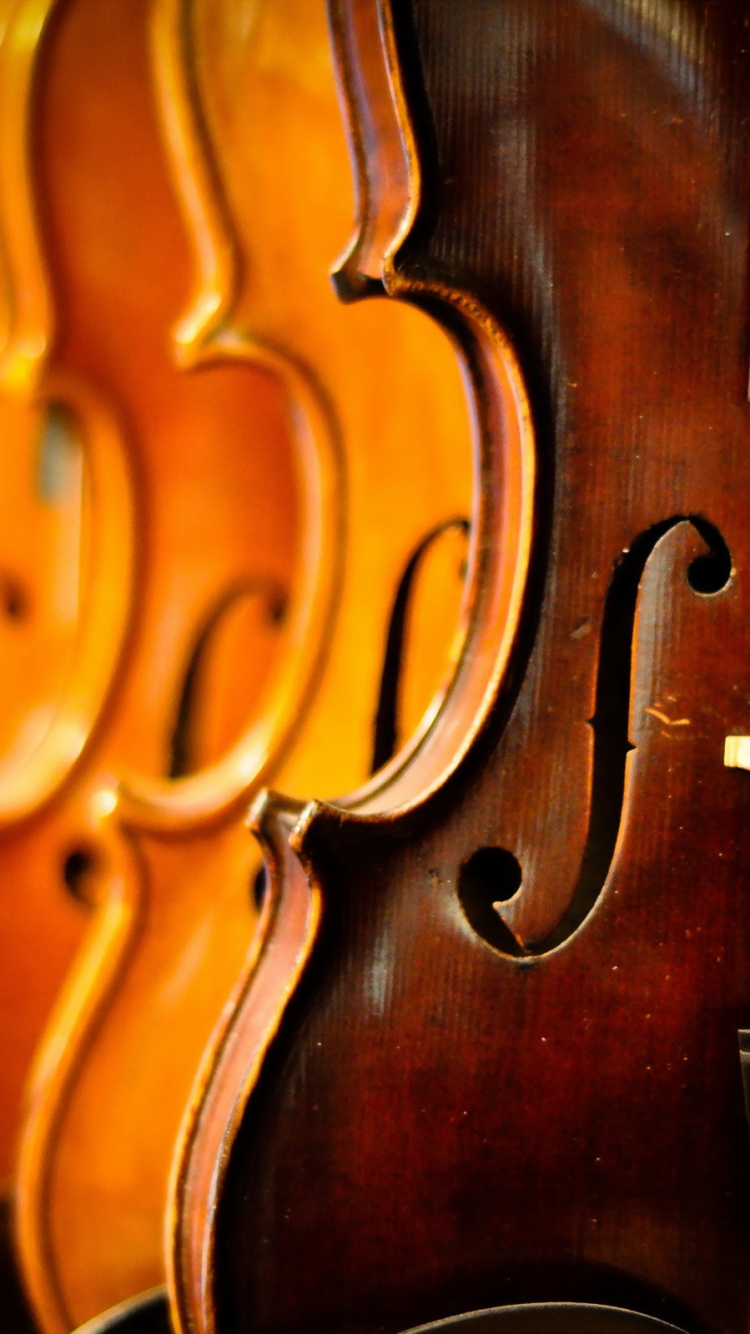 Bass Geige, Kontrabass, Violone, Viola, Violine Familie. Wallpaper in 750x1334 Resolution