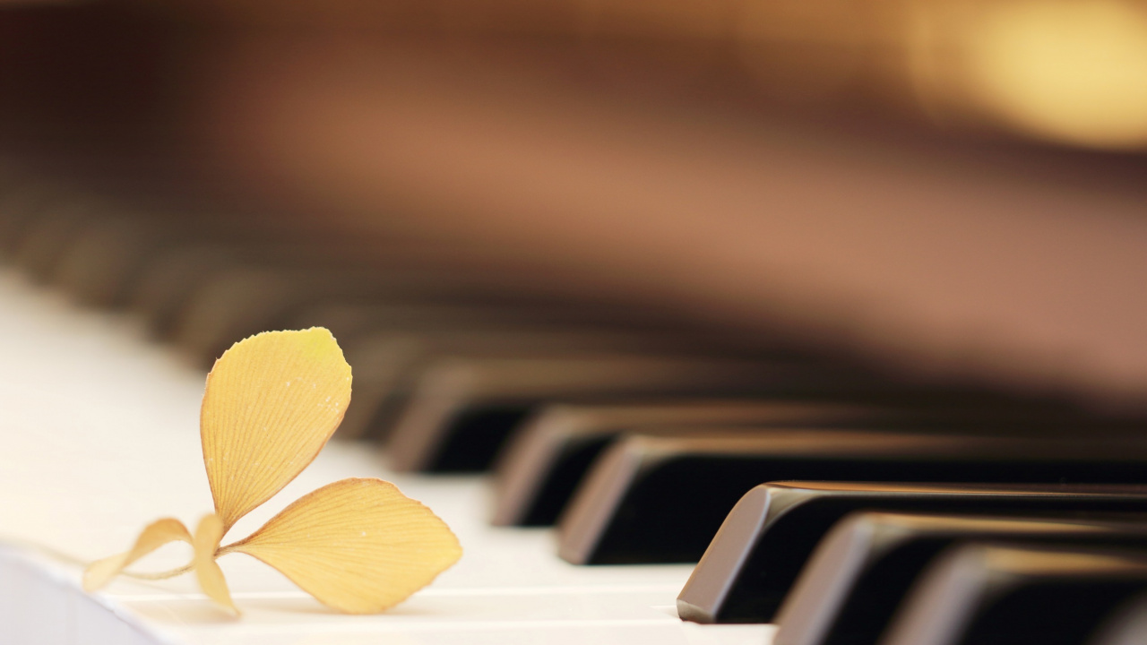 Piano, Teclado, Instrumento Musical, Teclado Musical, Tristeza. Wallpaper in 1280x720 Resolution