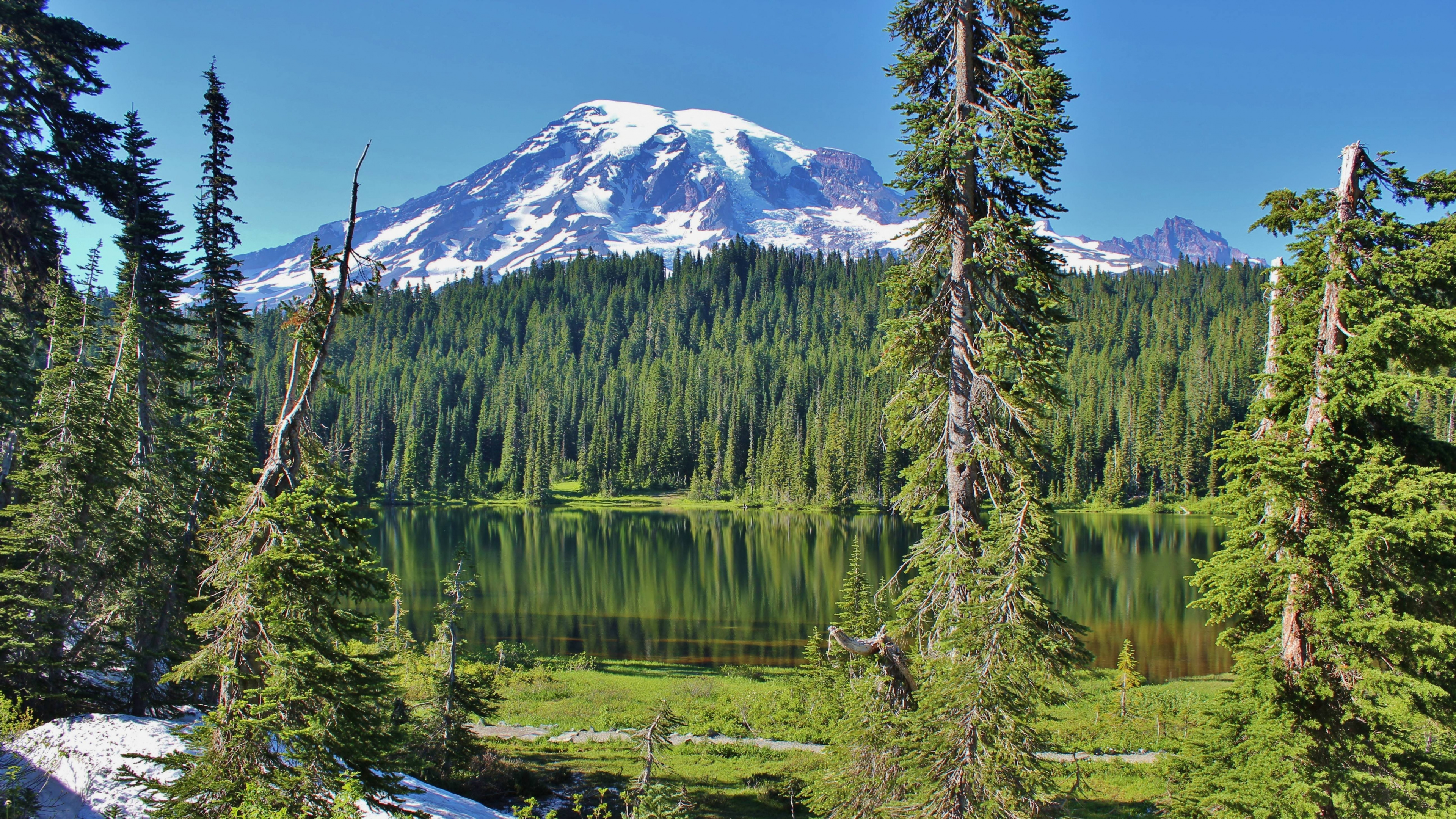 Pins Verts Près du Lac Pendant la Journée. Wallpaper in 3840x2160 Resolution