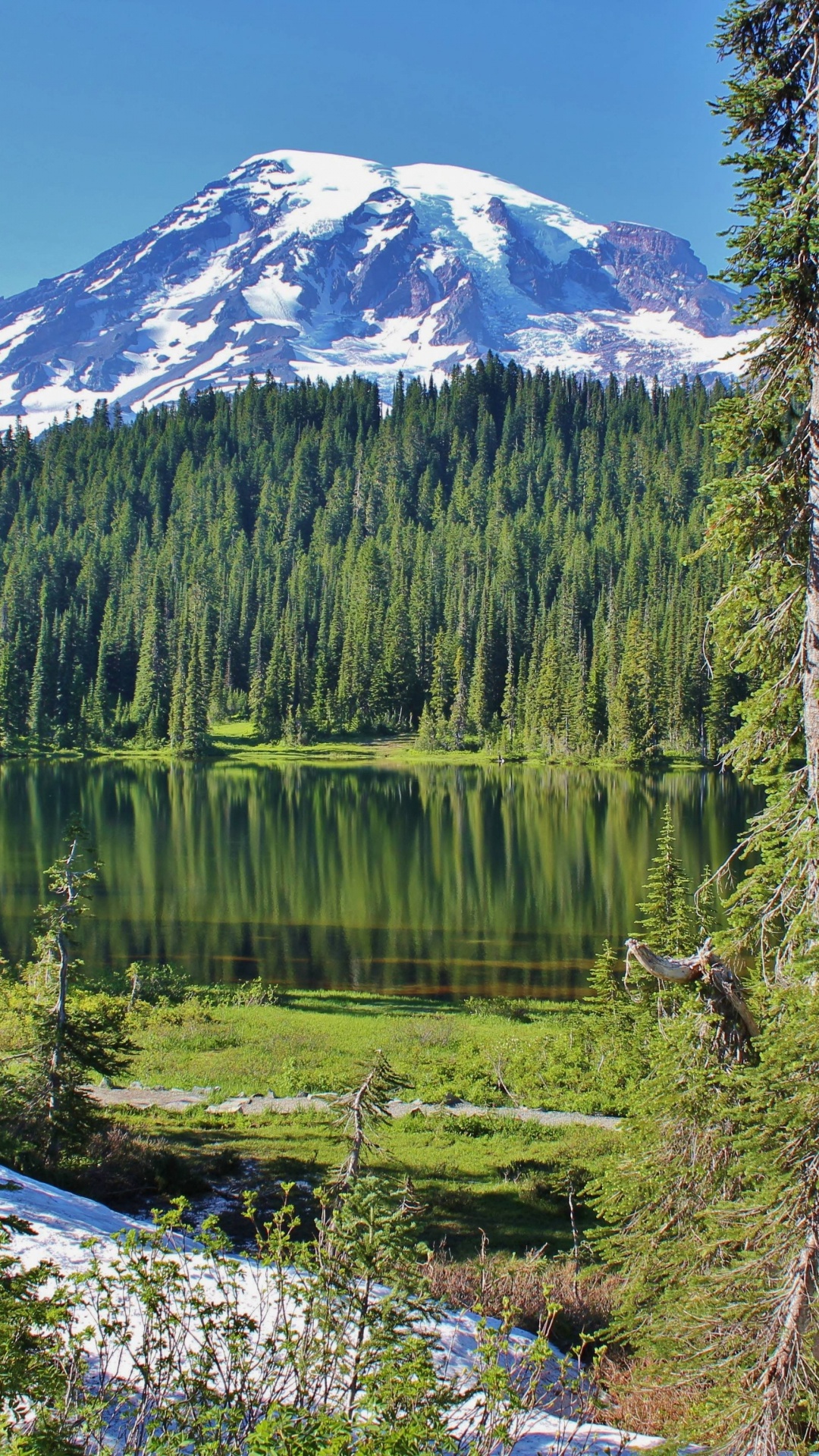 Green Pine Trees Near Lake During Daytime. Wallpaper in 1080x1920 Resolution