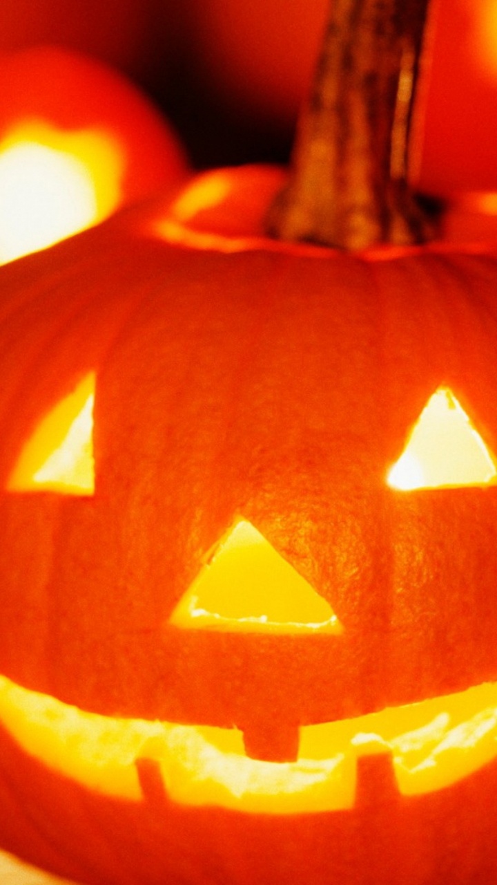 Pumpkin, Great Pumpkin, Calabaza, Orange, Winter Squash. Wallpaper in 720x1280 Resolution