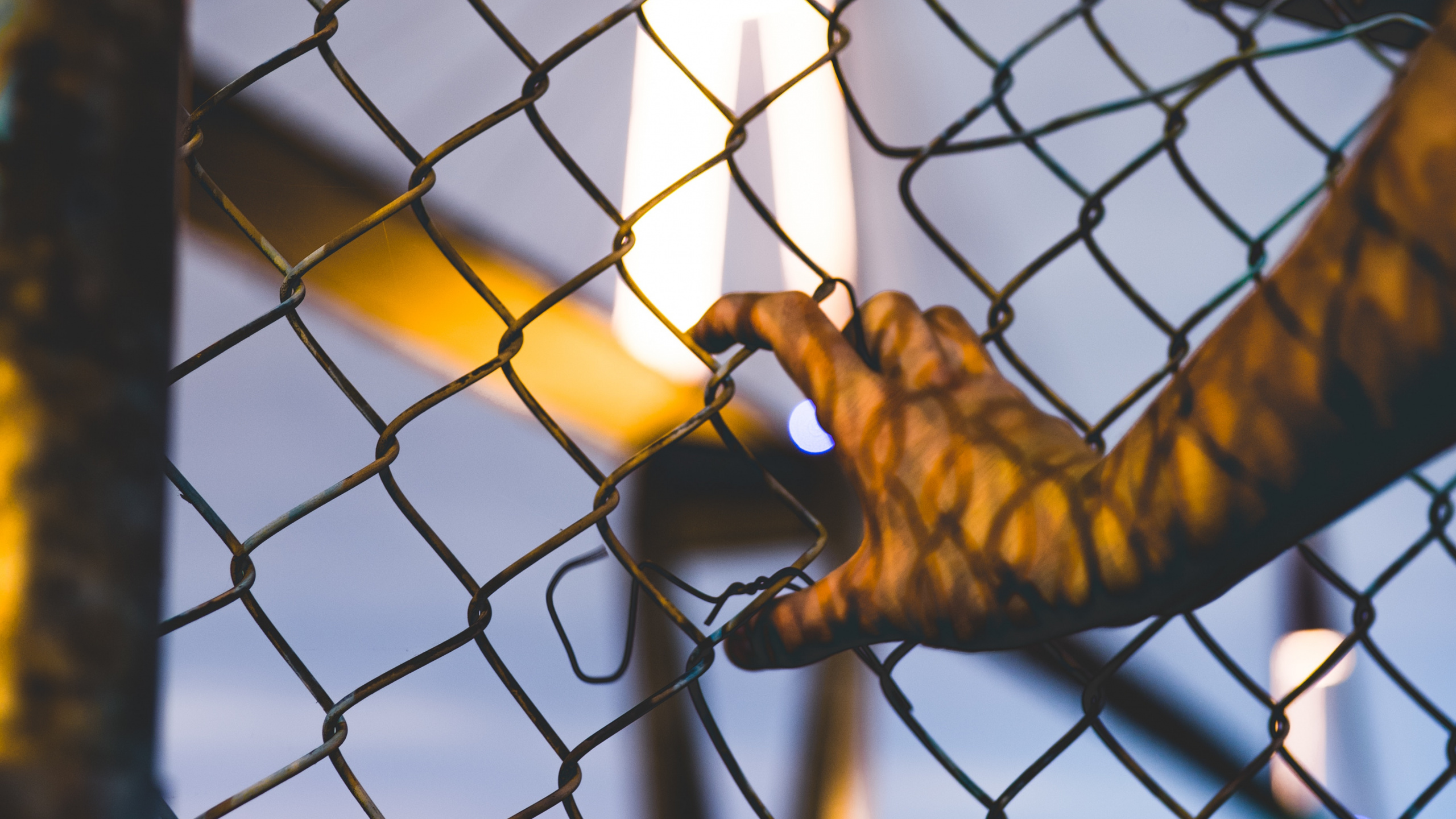 Personne Qui Grimpe Sur Une Corde. Wallpaper in 2560x1440 Resolution