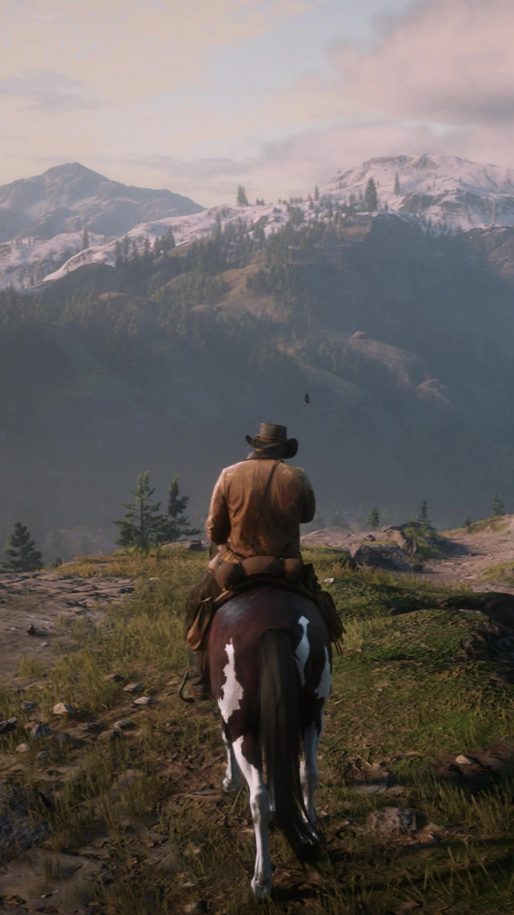 Red Dead Redemption 2, Red Dead Redemption, Grand Theft Auto v, Rockstar Games, Xbox One. Wallpaper in 750x1334 Resolution