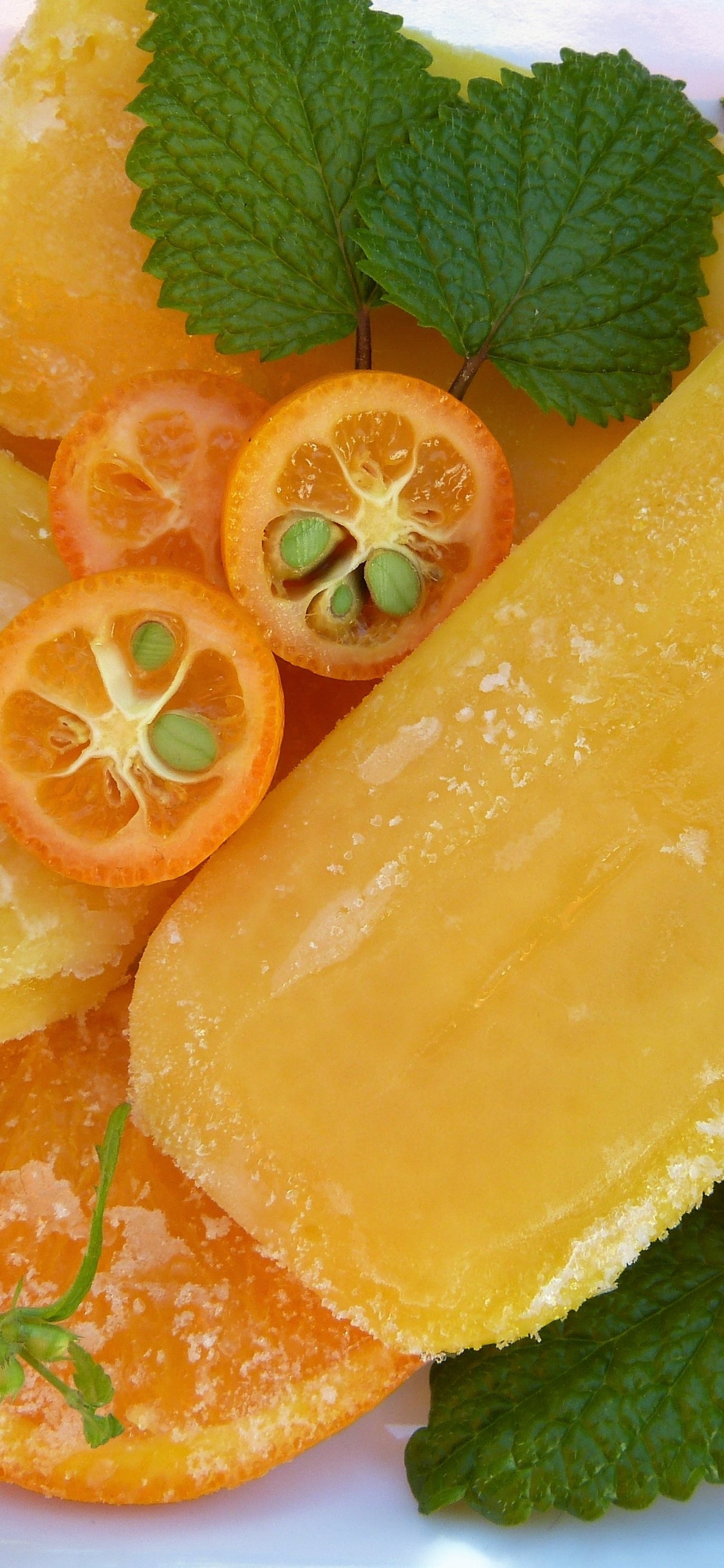 Sliced Orange Fruit on White Ceramic Plate. Wallpaper in 1125x2436 Resolution