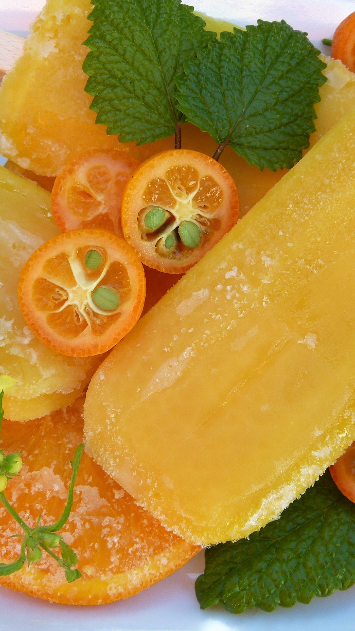 Fruits Orange Tranchés Sur Plaque en Céramique Blanche. Wallpaper in 1440x2560 Resolution