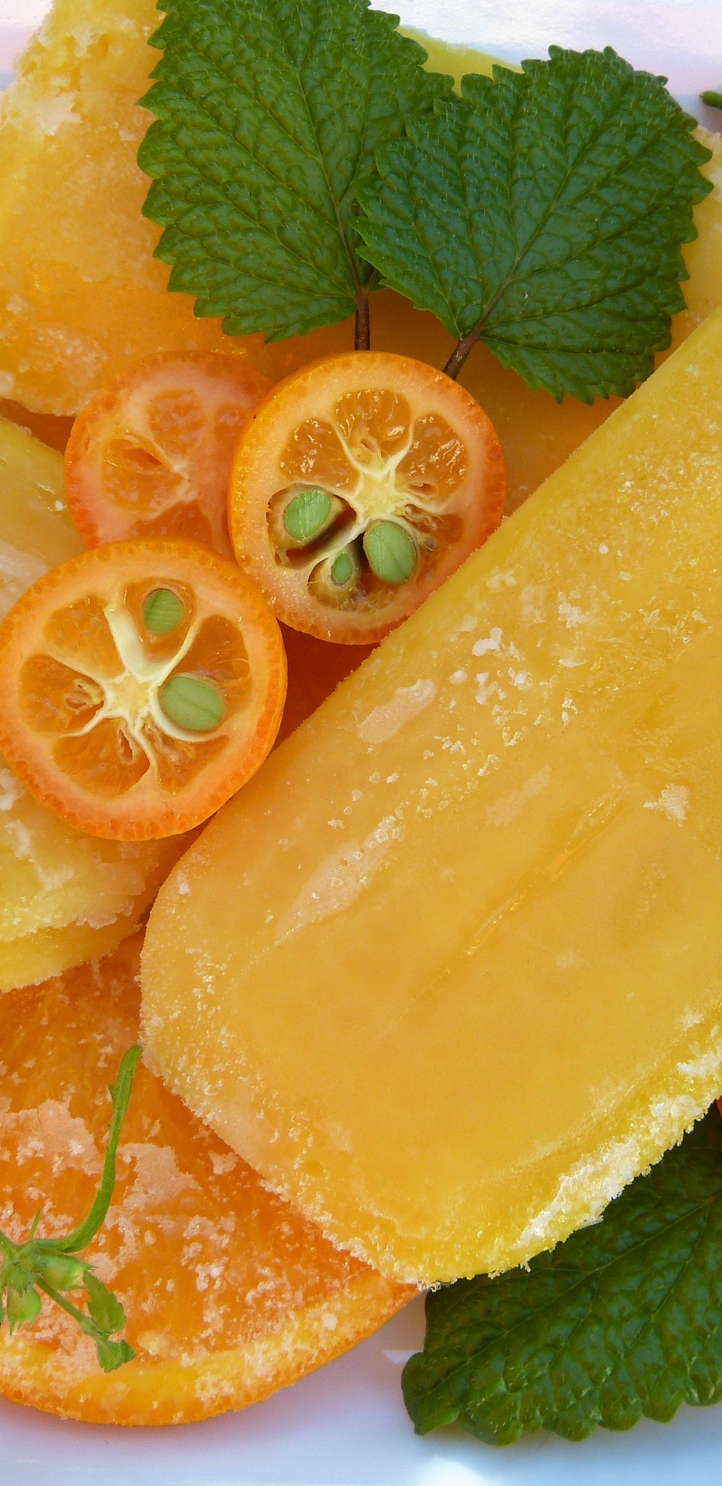 Fruits Orange Tranchés Sur Plaque en Céramique Blanche. Wallpaper in 1440x2960 Resolution