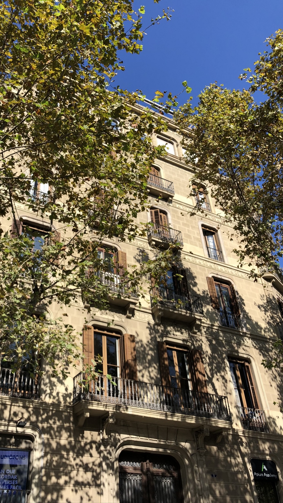 Barcelona, Inmueble, Biología, Fachada, Edificio. Wallpaper in 1080x1920 Resolution