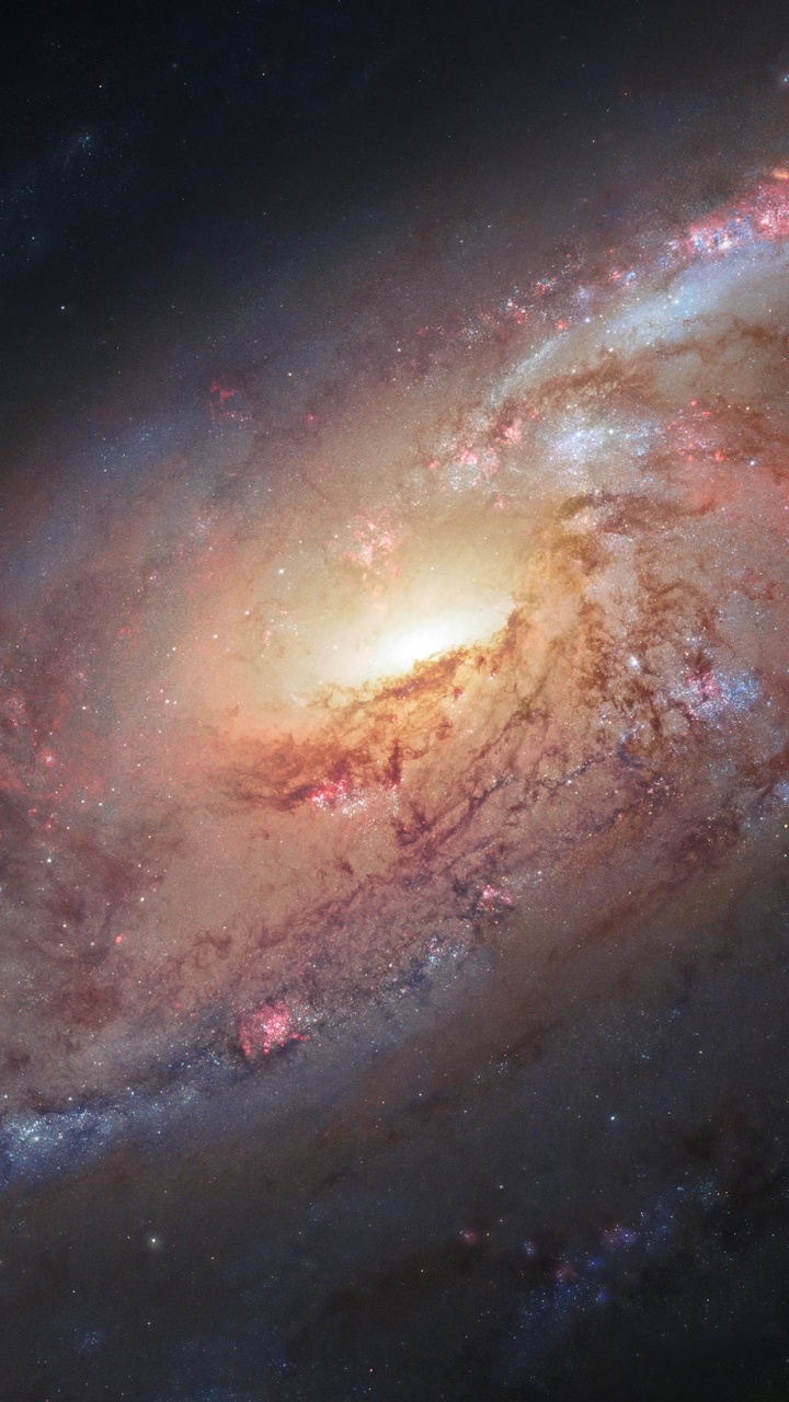 M106 Galaxie, Unordentlicher 106, Universum, Astronomie, Galaxy. Wallpaper in 720x1280 Resolution