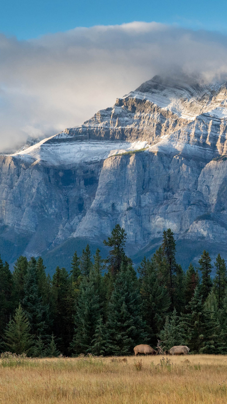 el Parque Nacional de Banff, Banff, Moraine Lake, el Parque Nacional De, Naturaleza. Wallpaper in 750x1334 Resolution