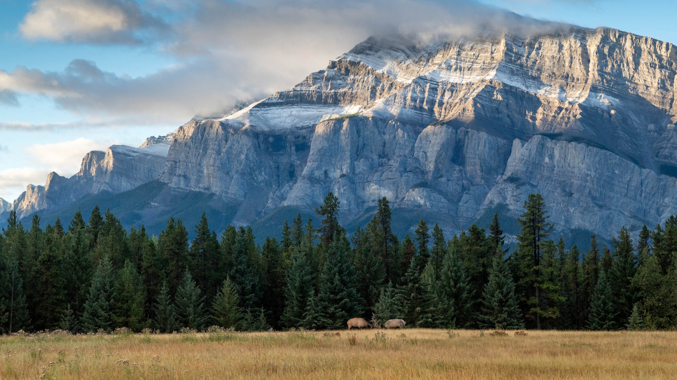 le Parc National de Banff, Banff, le Lac Moraine, le Parc National De, Nature. Wallpaper in 1366x768 Resolution