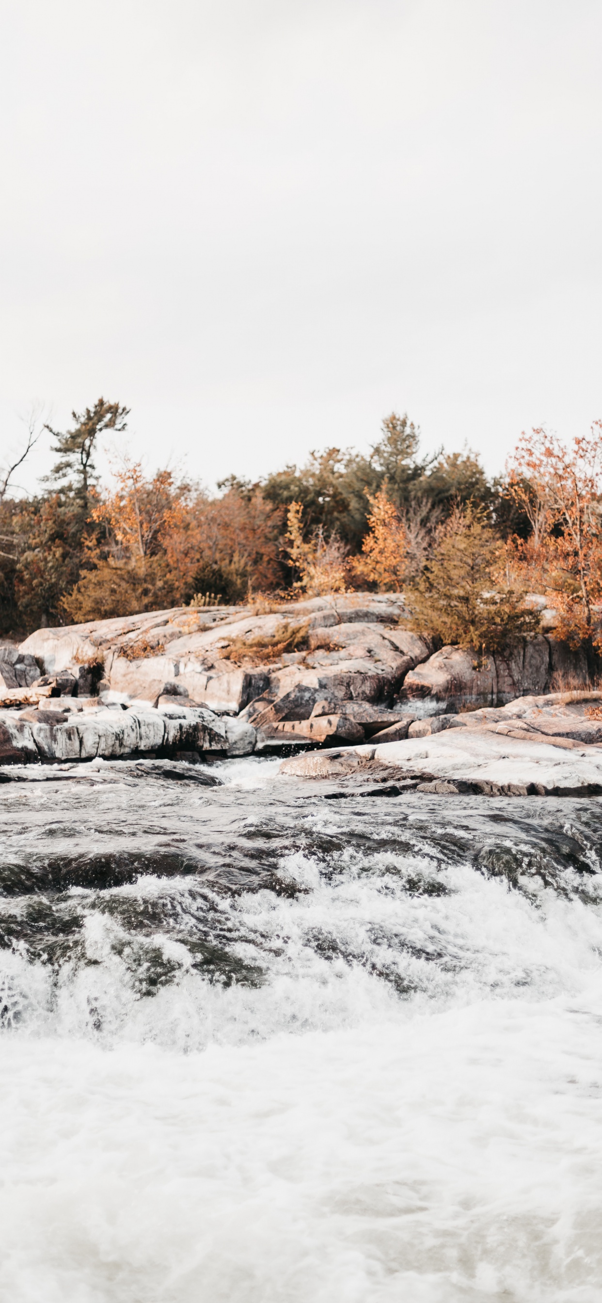 Wasser, Naturlandschaft, Schnee, Winter, Wildnis. Wallpaper in 1242x2688 Resolution