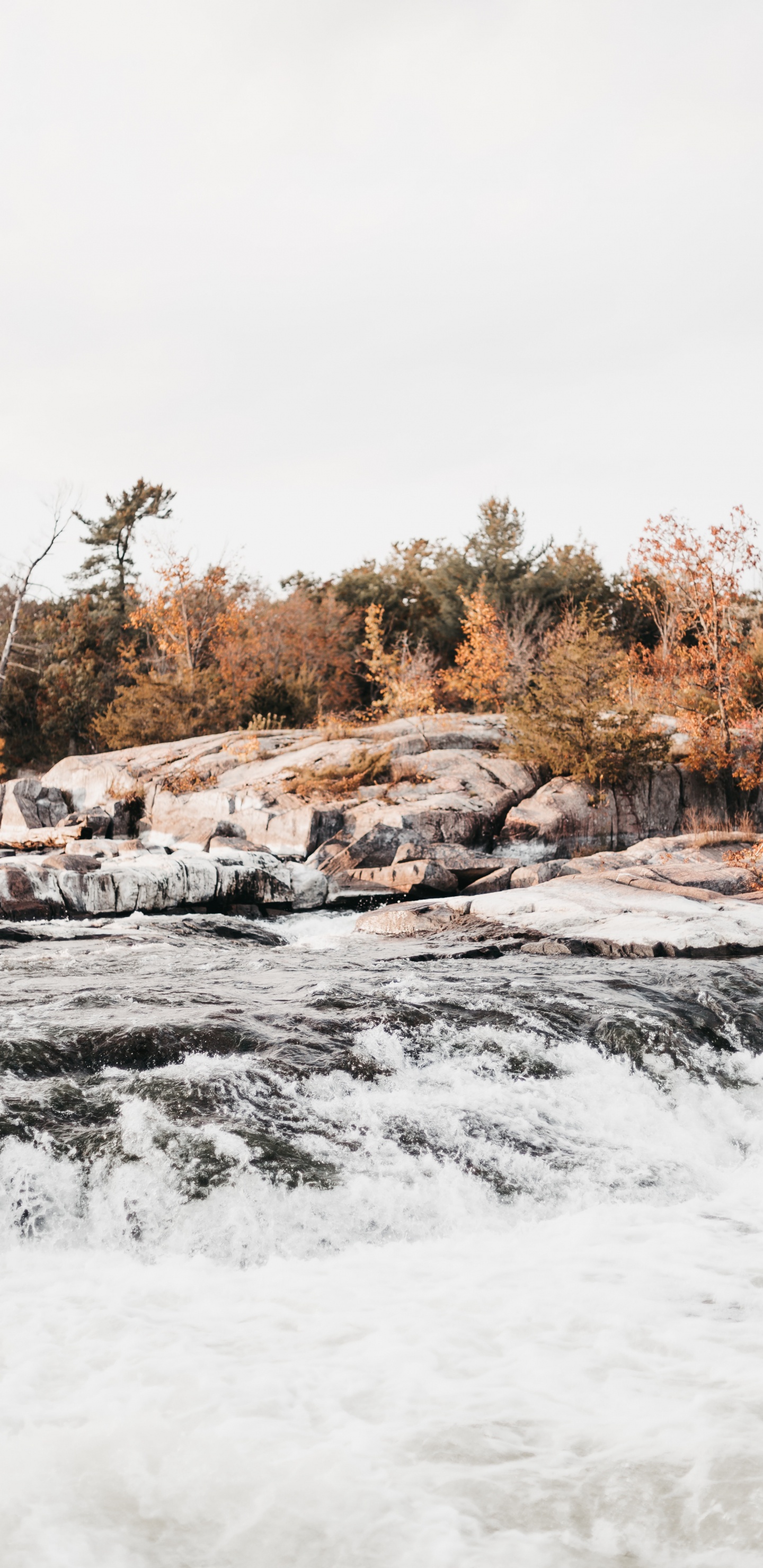 Wasser, Naturlandschaft, Schnee, Winter, Wildnis. Wallpaper in 1440x2960 Resolution