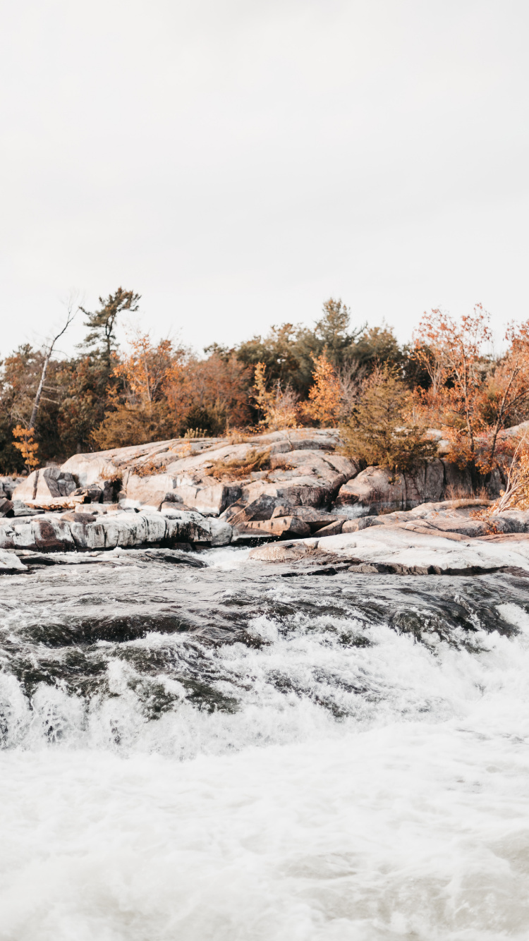 Wasser, Naturlandschaft, Schnee, Winter, Wildnis. Wallpaper in 750x1334 Resolution