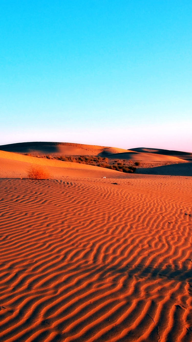 Désert de Sable Brun Pendant la Journée. Wallpaper in 750x1334 Resolution