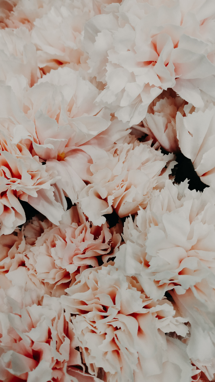 Flores Blancas en Lente Macro. Wallpaper in 750x1334 Resolution