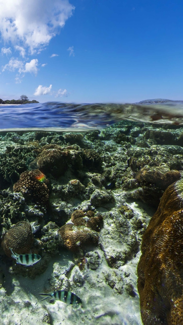 Android Marshmallow, Tablet, Android, Cloud, Wasser. Wallpaper in 720x1280 Resolution