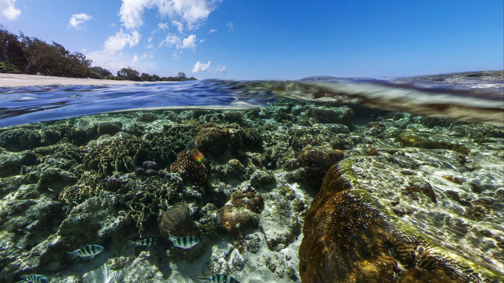 Android Marshmallow, Tablet, Android, Cloud, Water. Wallpaper in 1920x1080 Resolution