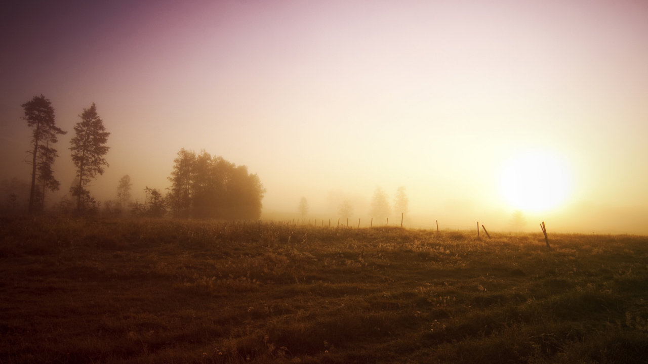 Green Grass Field During Daytime. Wallpaper in 1280x720 Resolution