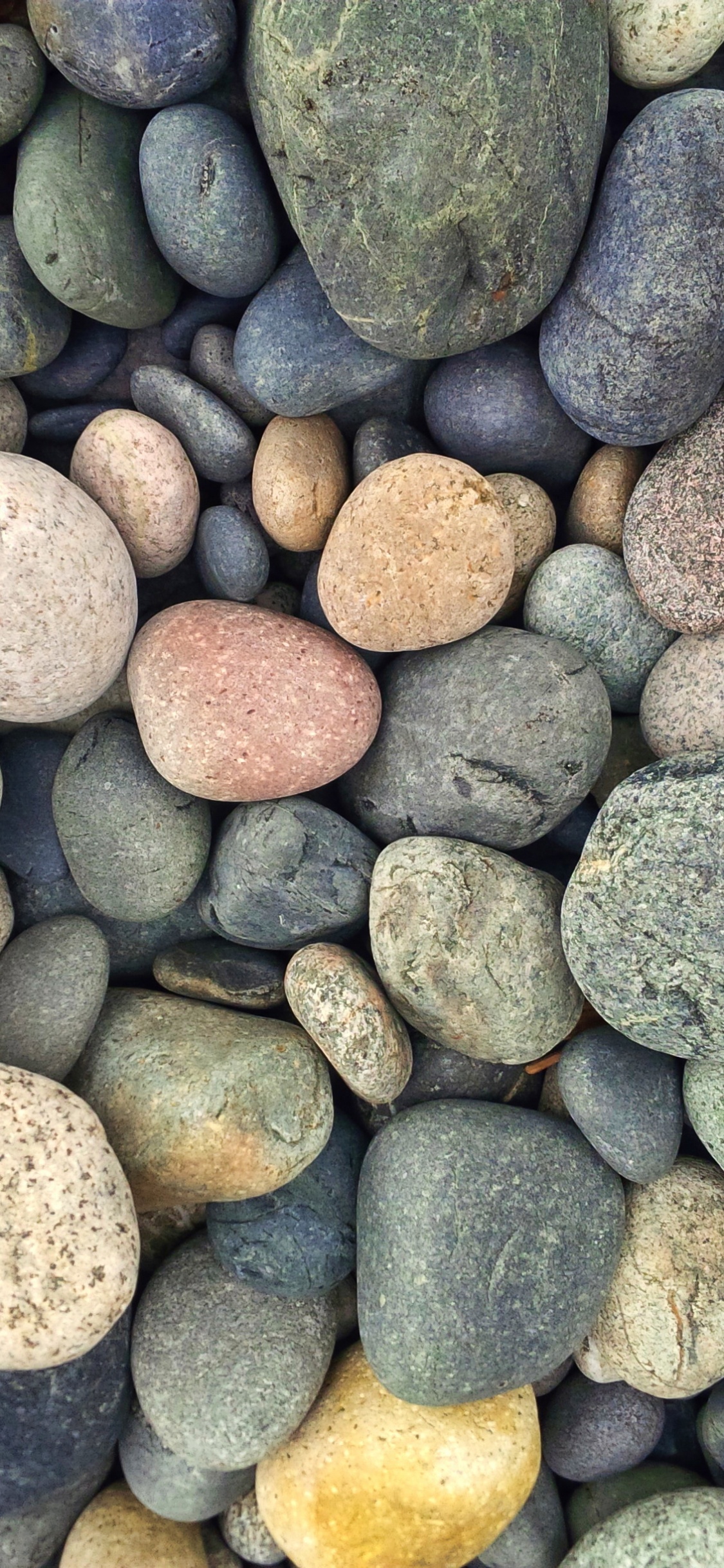Gray and Brown Stone Fragments. Wallpaper in 1125x2436 Resolution