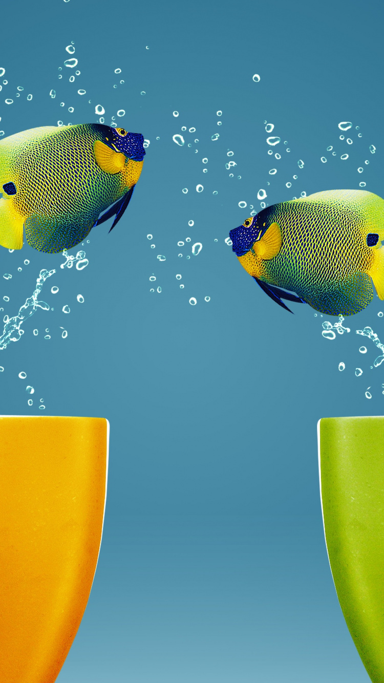 Poisson Jaune et Vert Dans L'eau. Wallpaper in 750x1334 Resolution