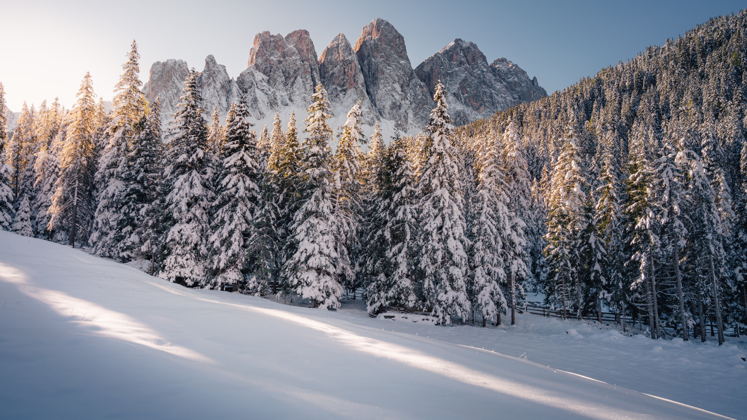 Hiver, Alpes, France, Canada, Neige. Wallpaper in 2560x1440 Resolution