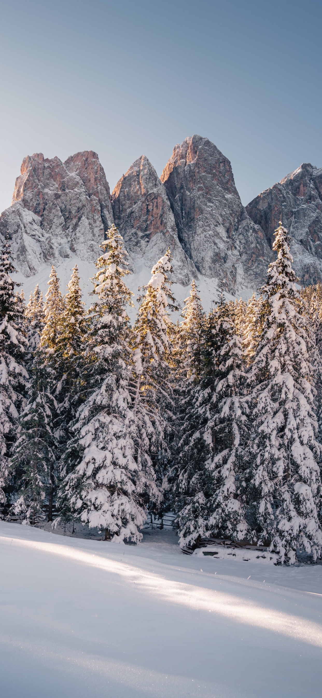 Winter, Alps, France, Canada, Mountain. Wallpaper in 1242x2688 Resolution