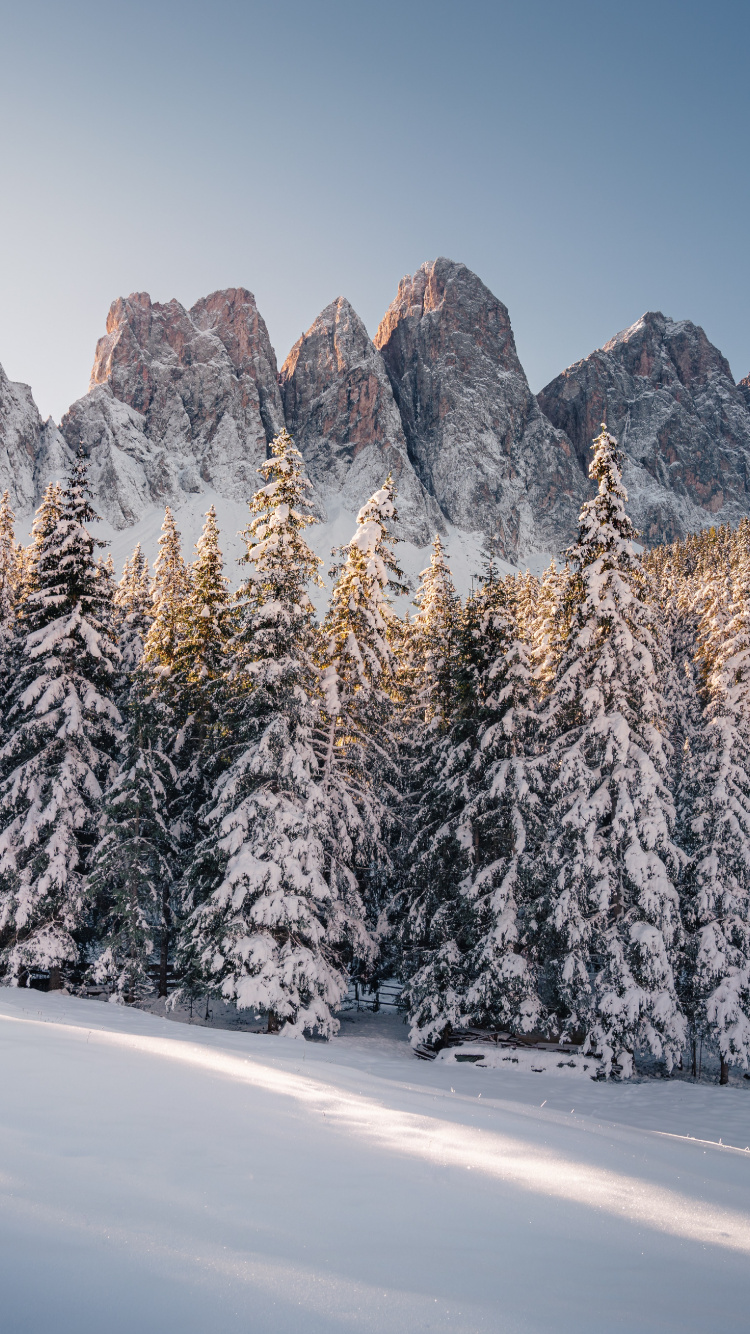 Winter, Alps, France, Canada, Mountain. Wallpaper in 750x1334 Resolution