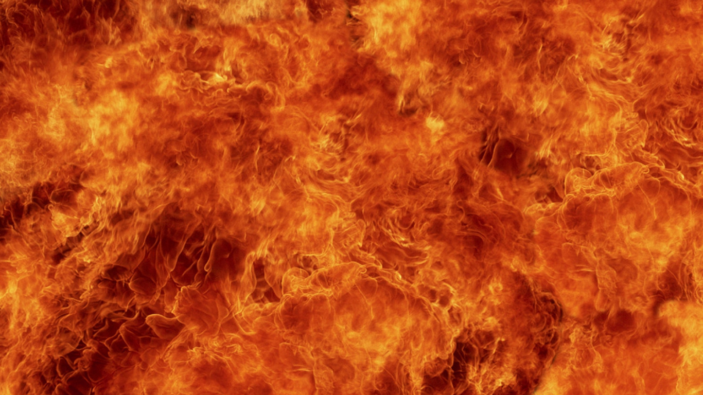 Textile Fourrure Orange et Noir. Wallpaper in 1366x768 Resolution