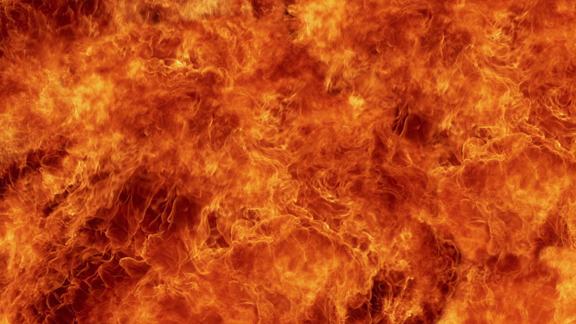 Orange and Black Fur Textile. Wallpaper in 1920x1080 Resolution