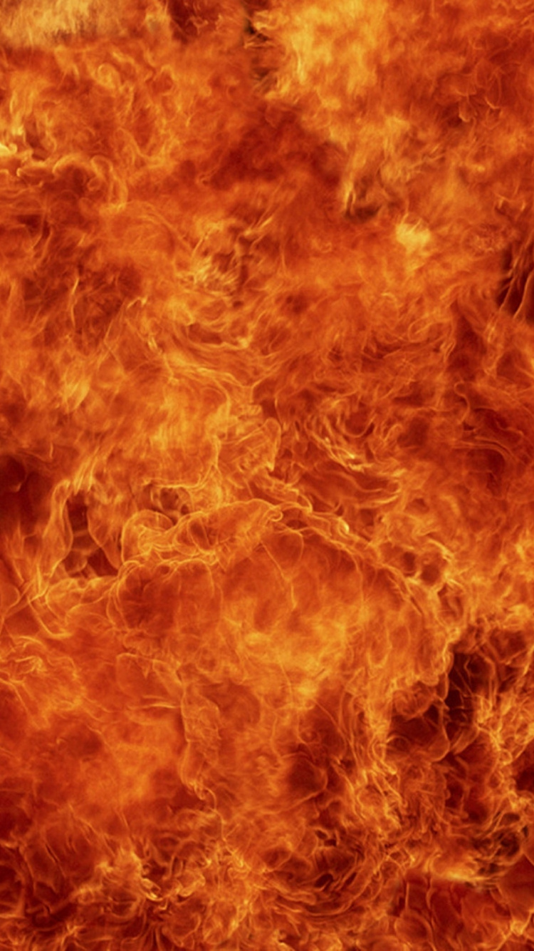 Orange and Black Fur Textile. Wallpaper in 750x1334 Resolution