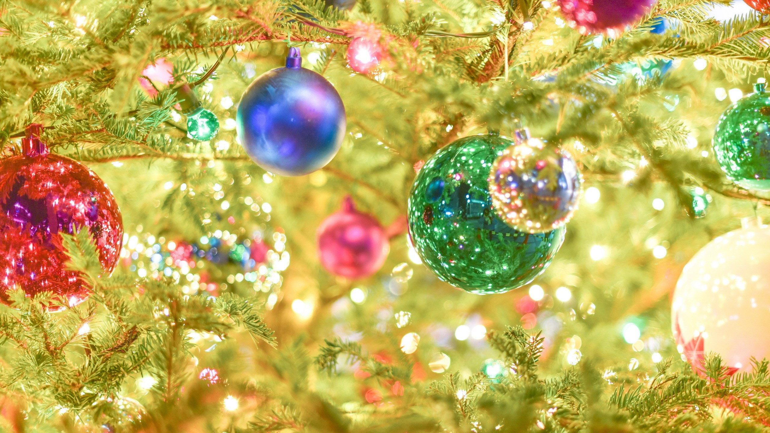 Christmas Ornament, Christmas Day, Christmas Tree, Christmas Decoration, Tree. Wallpaper in 2560x1440 Resolution