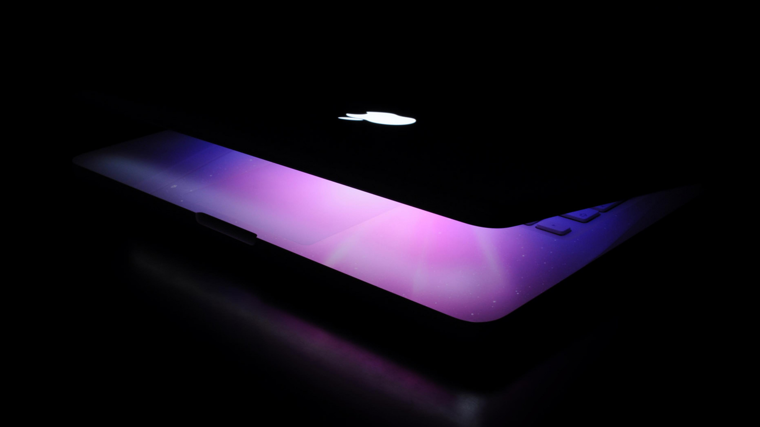 Ordinateur Portable Noir et Violet. Wallpaper in 2560x1440 Resolution